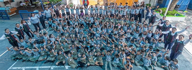 colegio, bosques, primaria, educación, escuela, calidad